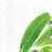 GreenPath Initiatives Logo