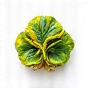 Logo Ristorante Partner Veggie World