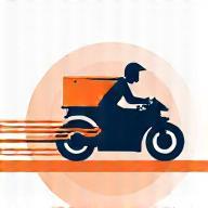 Same-Day Courier Service